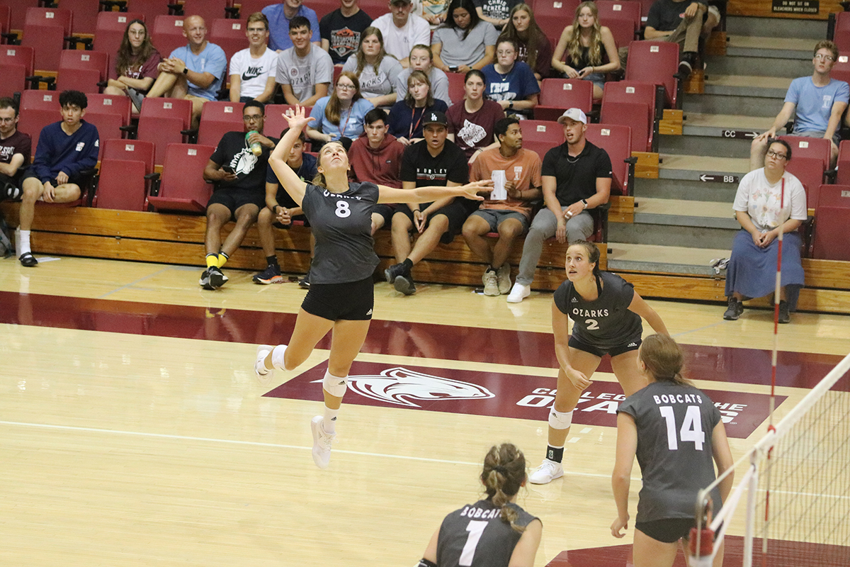 VB Coaches638006898913962357
